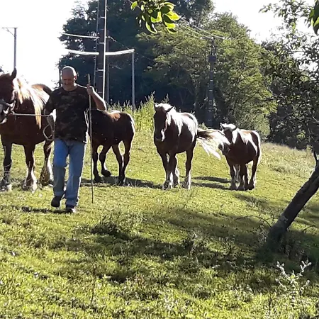 Bed and breakfast D Hotes Azkena Arrast-Larrebieu