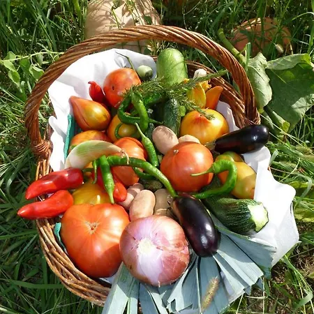 D Hotes Azkena Bed and breakfast