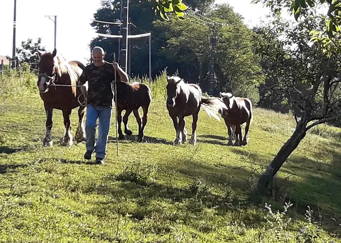 Bed and breakfast D Hotes Azkena Arrast-Larrebieu