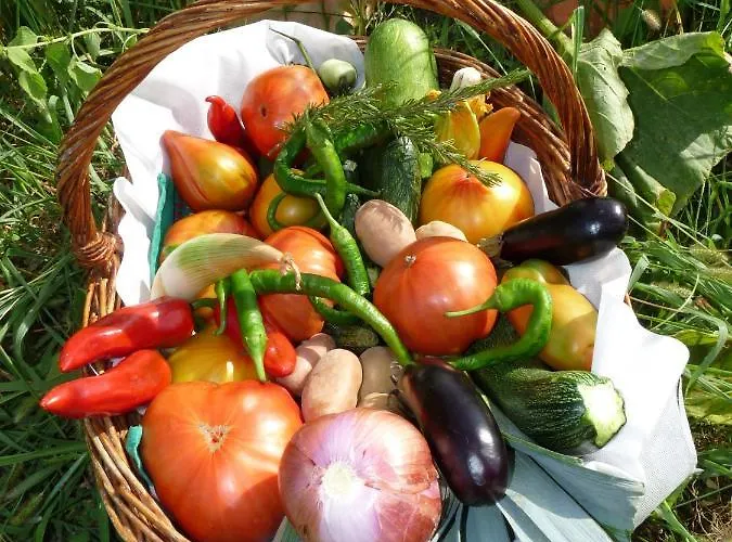 D Hotes Azkena Bed & Breakfast