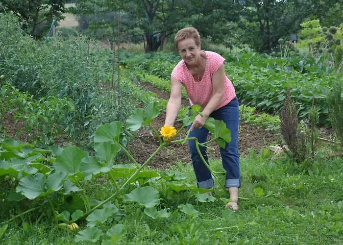 D Hotes Azkena Bed and breakfast